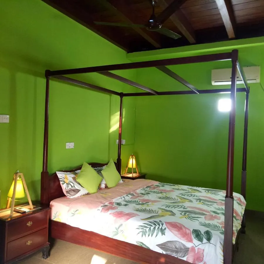 Palms Villa Негомбо Отель типа 