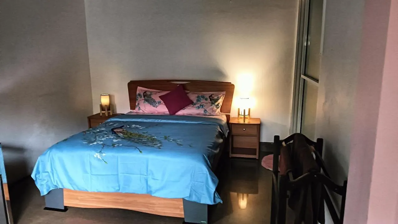 Palms Villa Негомбо