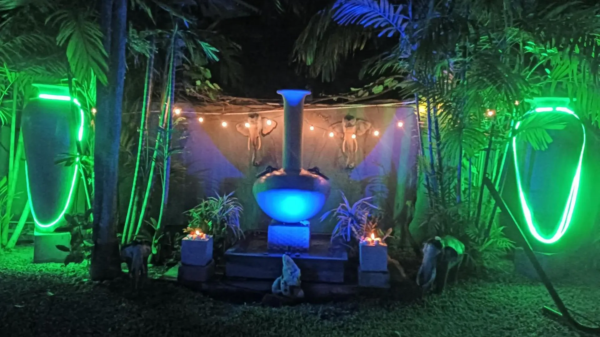 Palms Villa Negombo Bed & Breakfast
