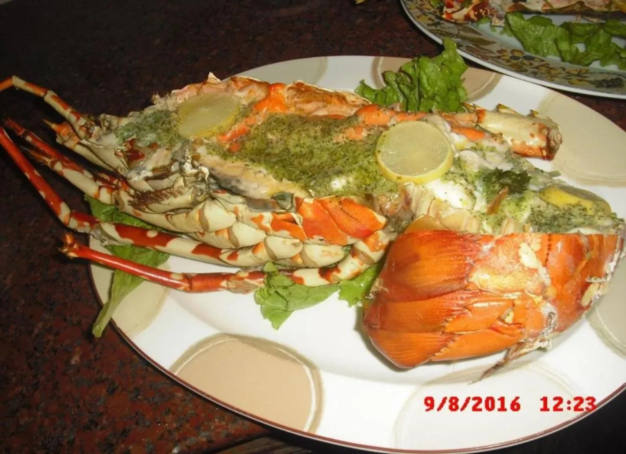Bed & Breakfast Palms Villa Negombo