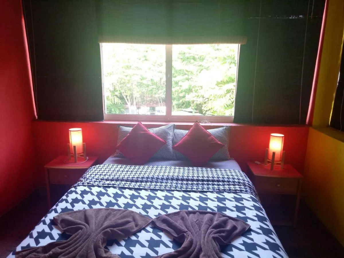 Palms Villa Negombo Bed & Breakfast